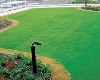 Roof Gardens Lecture