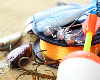 Project CATCH at Tanglewood Park