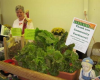 We want YOU to be a Community Garden Mentor!