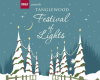 Tanglewood Festival of Lights Presented by BB&T