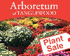 Spring Plant Sale at the Arboretum at Tanglewood Park