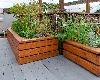 Drought Tolerant Plants Workshop Thursday, June 13th @ 4pm