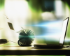 Twitter Basics: How Communicate via Twitter in Walkertown