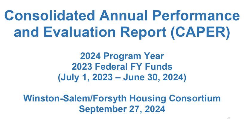 The Consolidated Housing and Neighborhood Services Plan