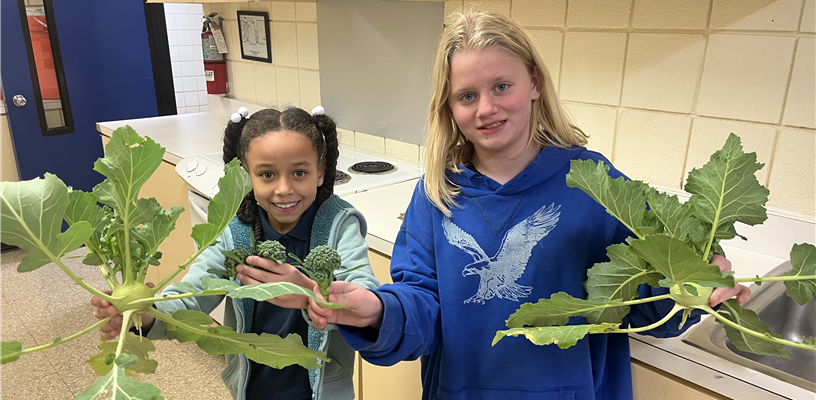 Program that teaches kids how to grow vegetables wins state award