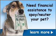 Need financial assistance to spay/neuter your pet?