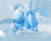 Air Pollution Season is About to Begin