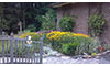 Demonstration Garden Open House and Tours