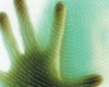 Service Interruption for Fingerprinting Services