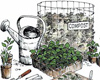 Organic Practices for Community Gardens