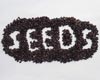 Seed Saving with Pam