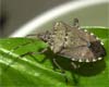 Cold Blooded Encounters at Carver School Road Branch Library