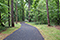 Multi-use Asphalt Trail at Tanglewood is Now Officially Open!