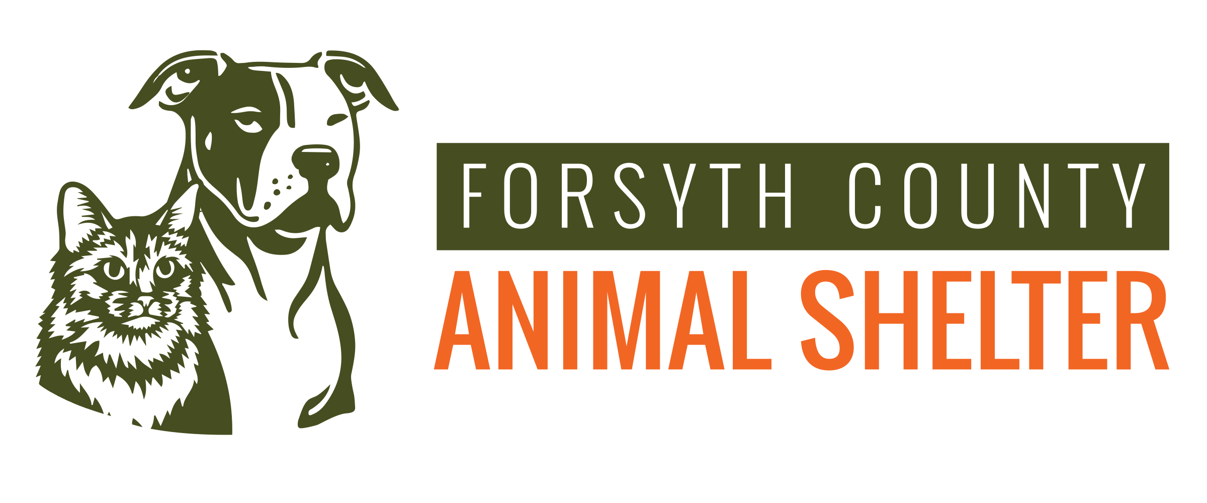 Animal Shelter