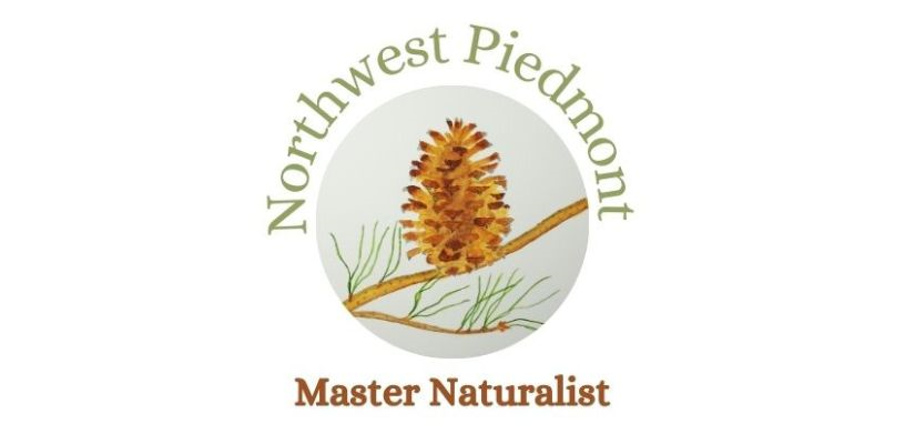 Introducing the Northwest Piedmont Master Naturalist Program