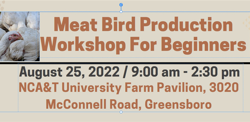 Meat Bird Production Workshop for Beginners