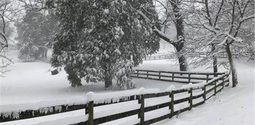 Forsyth County opening at noon on Feb 3, Central Library and parks remain closed 