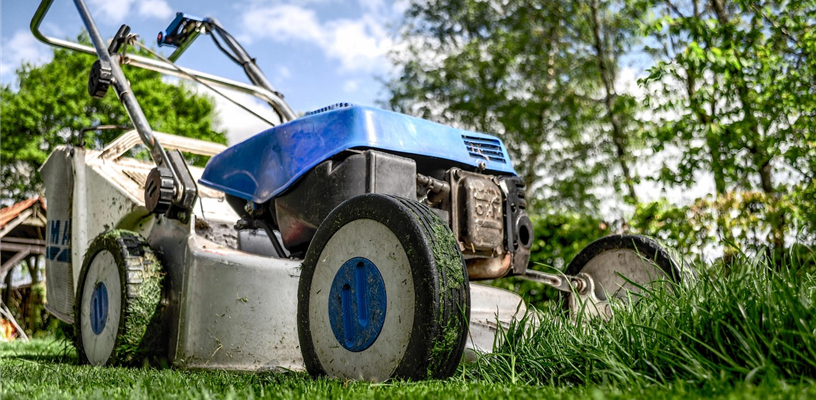 Get the Dirt on Tools for your Garden and Yard