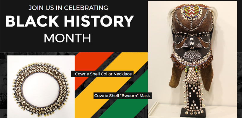 Learn about cowries and their role in tracing the African Diaspora