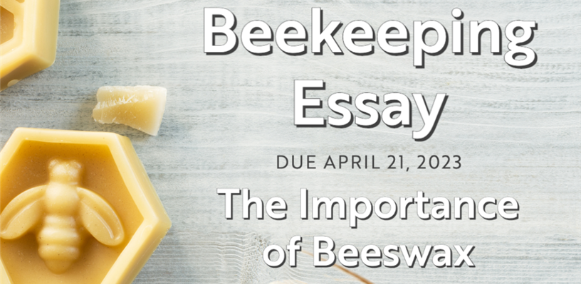 4-H Beekeeping Essay Contest