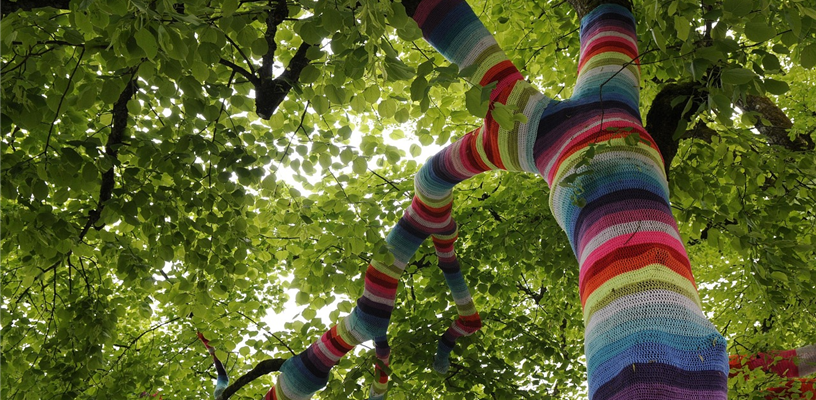 Knit, crochet, or needle away at the Lewisville Branch Library